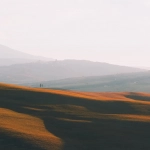 Романтическая атмосфера деревенского уюта в слот-игре Bigger Barn House