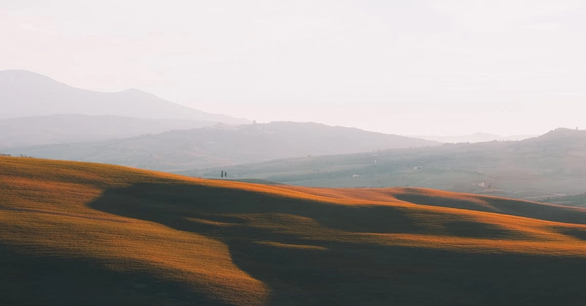 Романтическая атмосфера деревенского уюта в слот-игре Bigger Barn House